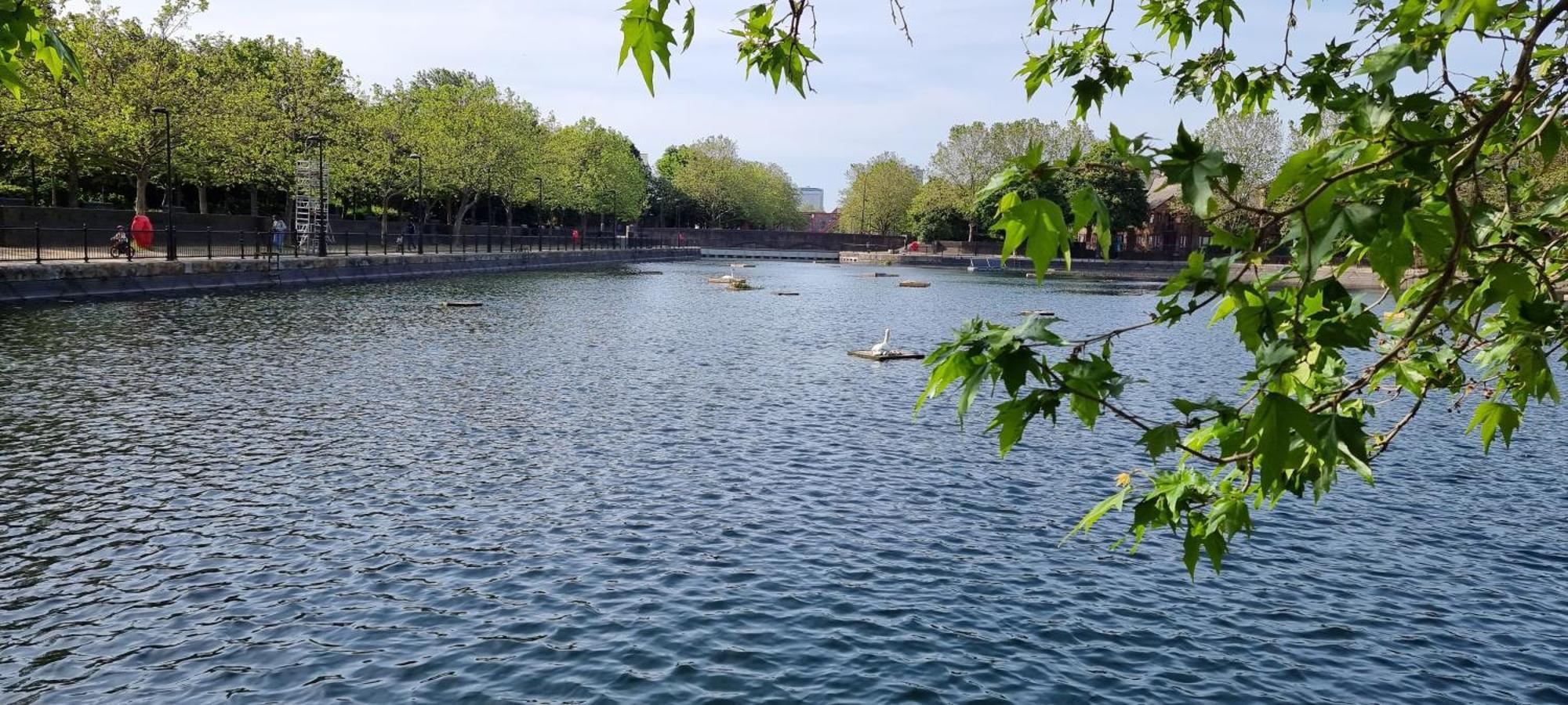 Riverside 3Br With Easy Transport 20Mins To City Centre 伦敦 外观 照片